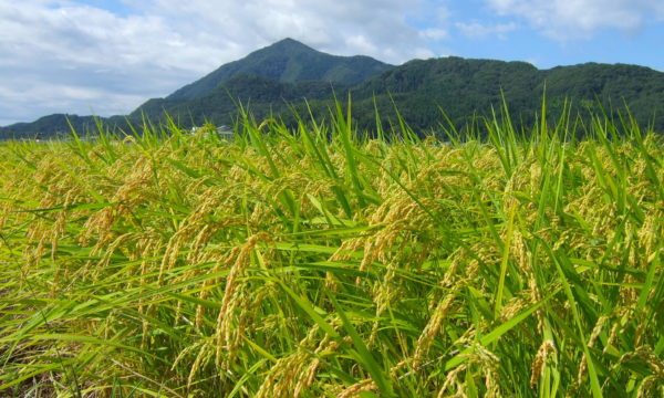 持続可能な循環型農業とは